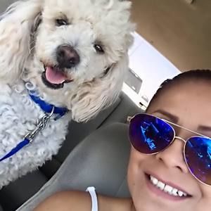 Meet your Posher, Lupe